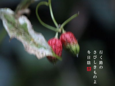 さびしきもの