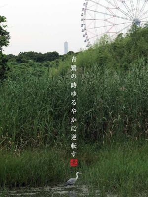 青鷺と観覧車
