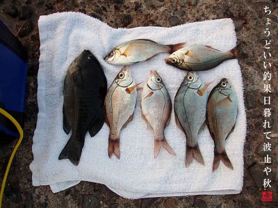 釣果