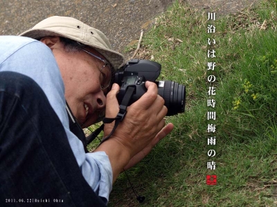 野の花時間