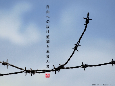 自由への抜け道
