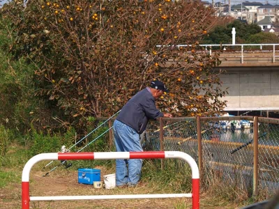 柿の木と釣り人