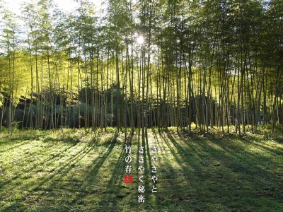 竹の春