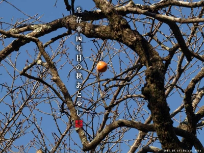 生存率