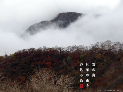雲海の紅葉山