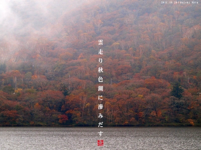 紅葉雨