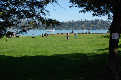 sDSC_8371.jpg