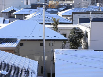 仙台の初雪