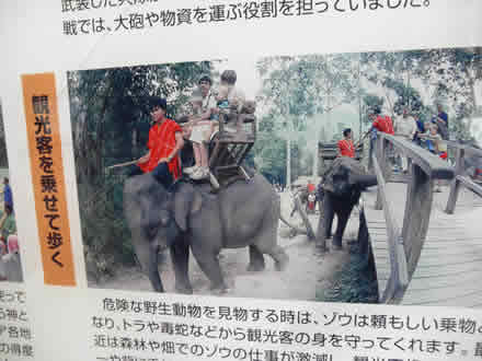 上野動物園とゾウ使い