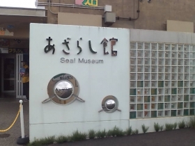 旭山動物園アザラシ館