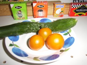 グスタフスベリ・プルーヌスと収穫野菜