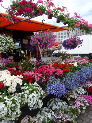 ヘルシンキ マーケット お花