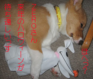 ジャックいるぅ〜?