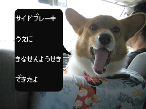 º£¤Þ¤Ç¤Ï¥±¥Ä¤¬Äˤ«¤Ã¤¿