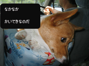 ¥¨¥¢¥³¥óľ·â¤Ç²÷Ŭ¤¶¤Þ¤¹