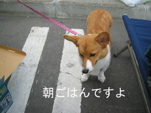 げっそり