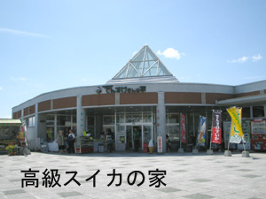 高級です、でんすけ