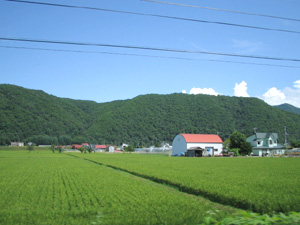 田園