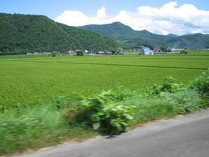 また田園