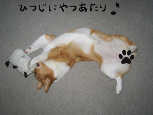 出番ないの!