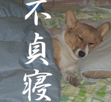 きなこ親父