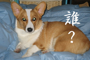 誰?