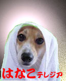 歳暮はなことはわたしのことだっちゃ