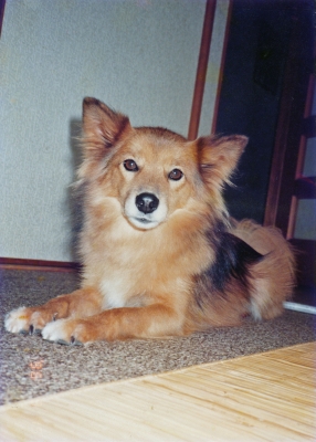 muku