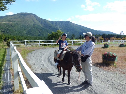 富士山こどもの国ポニー.jpg