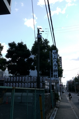 P1030269.JPG