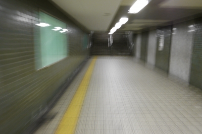 P1030289.JPG