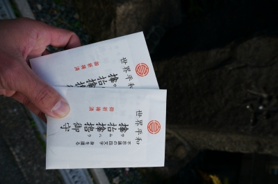 P1030271.JPG