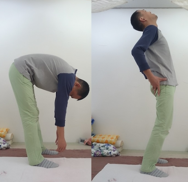 腰痛01.png