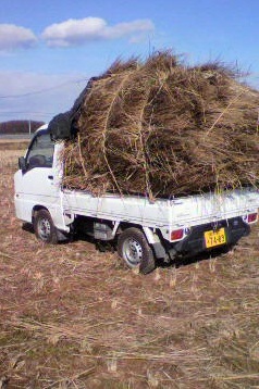 2011012311080000.jpg