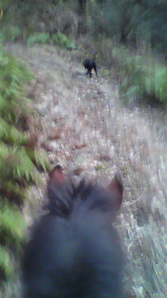 2011013012100000.jpg
