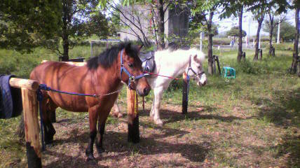 2011050414100001.jpg