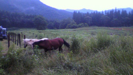 2011071016470000.jpg