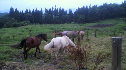 2011072417210000.jpg