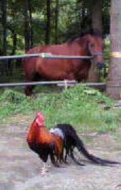 2010073018030000t.jpg