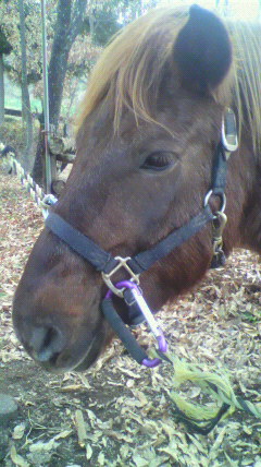 2012010213470002.jpg