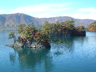 kouyou