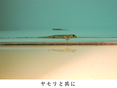 34_18.jpg