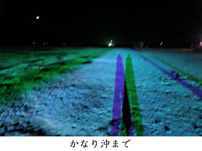 39_19.jpg