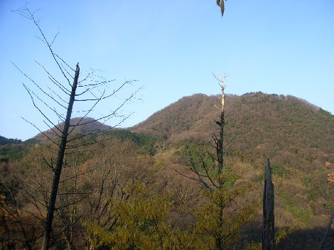 nijyouzan