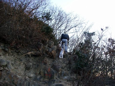 wakimichi
