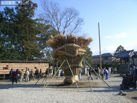 吉祥草寺