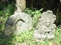 sekibutu