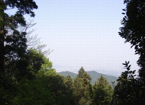 展望