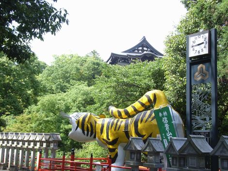 大虎
