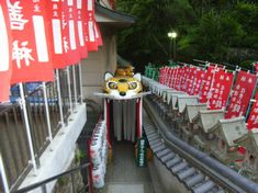 長い虎